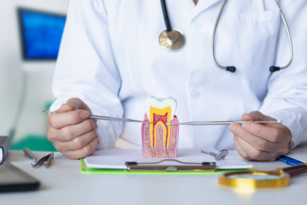 Best Weekend Emergency Dentist in Churchill, OH